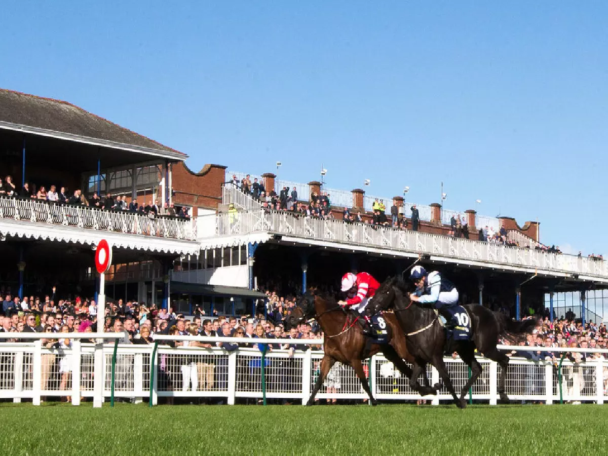 Ayr racecourse
