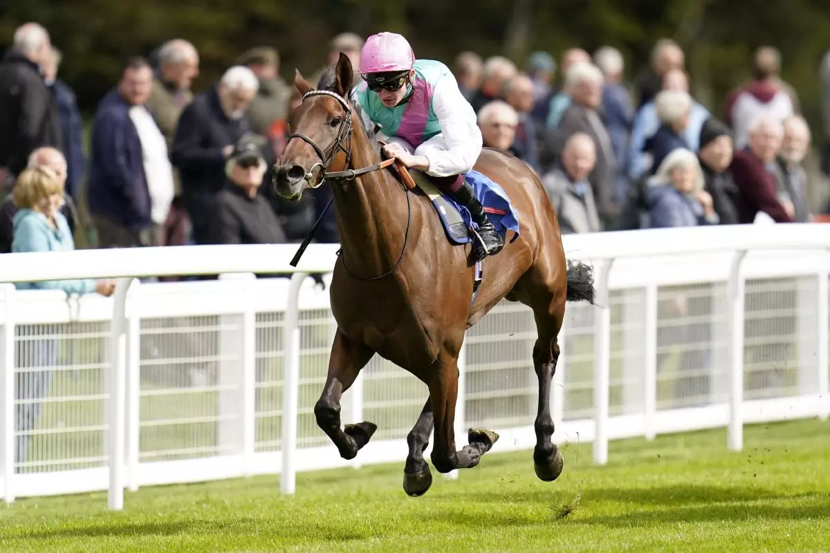 Bluestocking ridden by Rob Hornby - Aug 2022