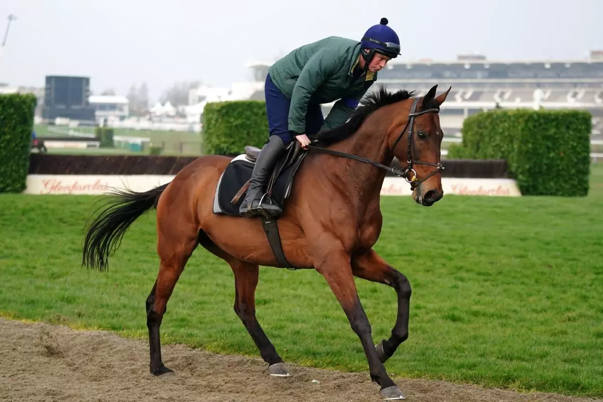 Chacun Pour Soi on the gallops