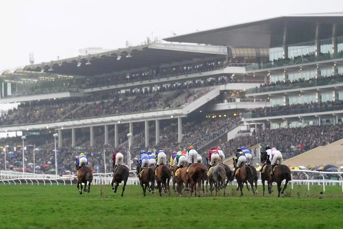 Cheltenham Festival day three