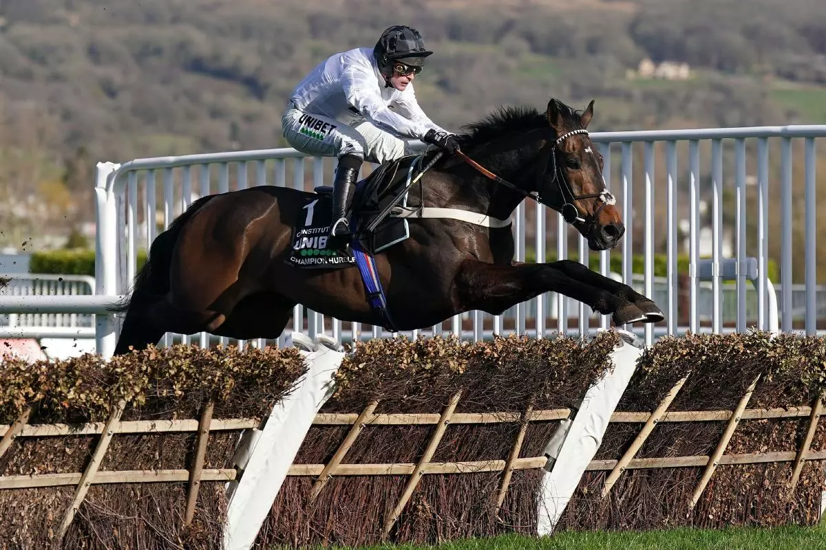 Constitution Hill ridden by jockey Nico de Boinville