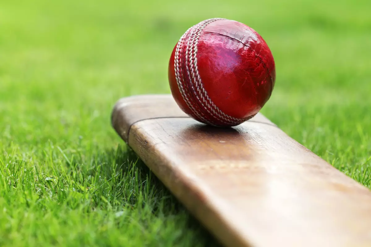 Cricket bat and ball