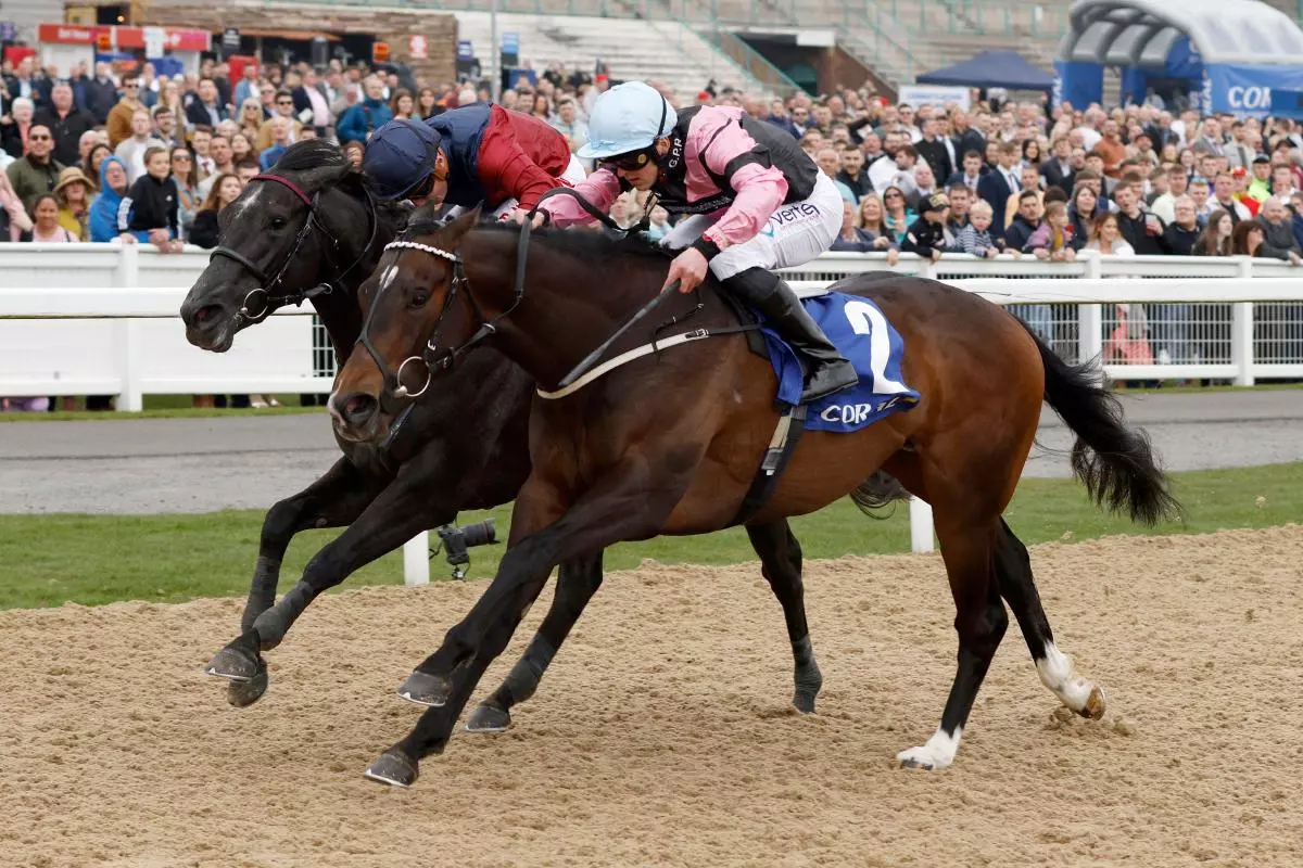El Caballo ridden by Clifford Lee (right) wins Betway All-Weather Sprint Championships Conditions Stakes