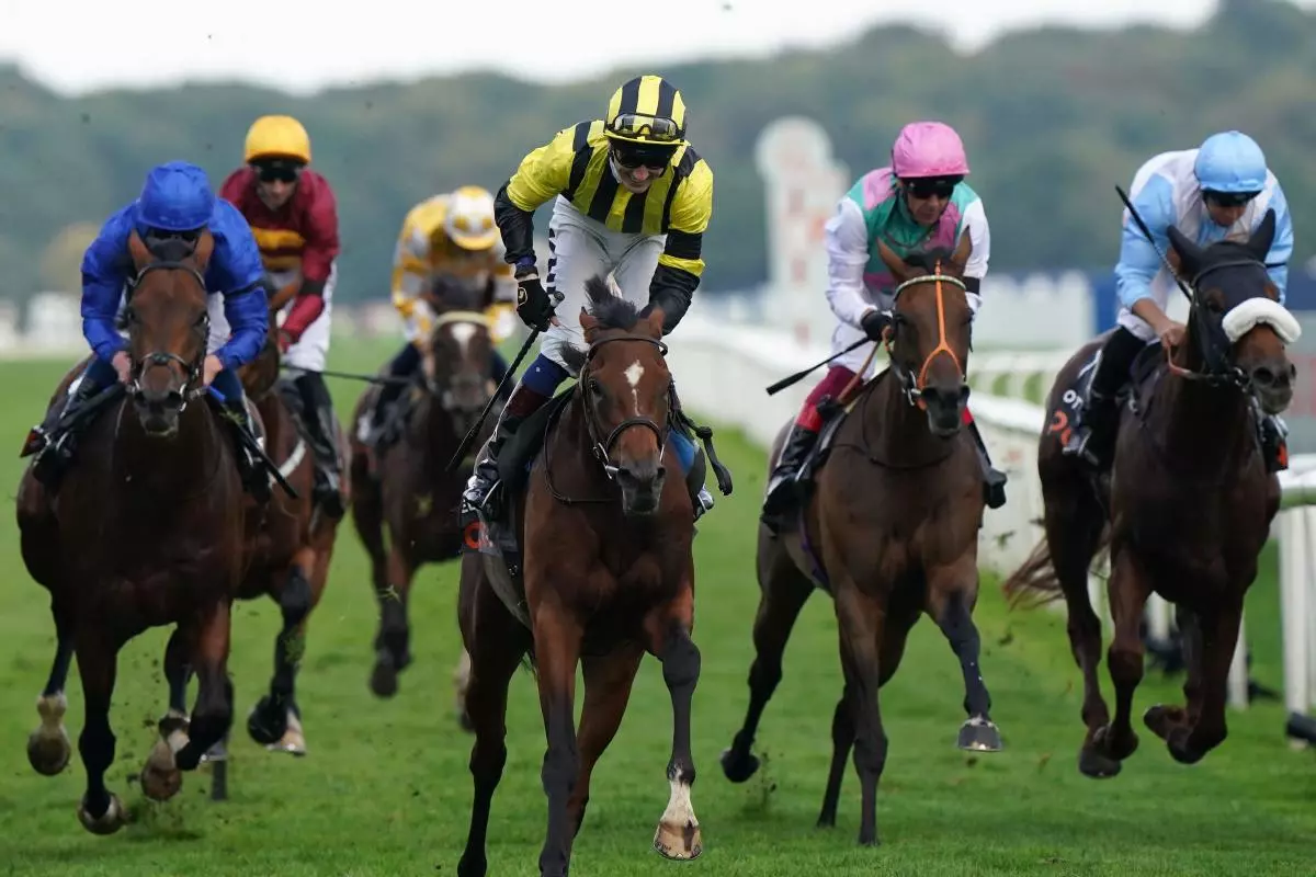 Eldar Eldarov ridden by David Egan