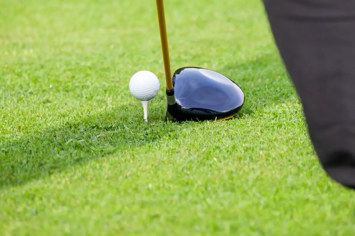 Golf ball and driver