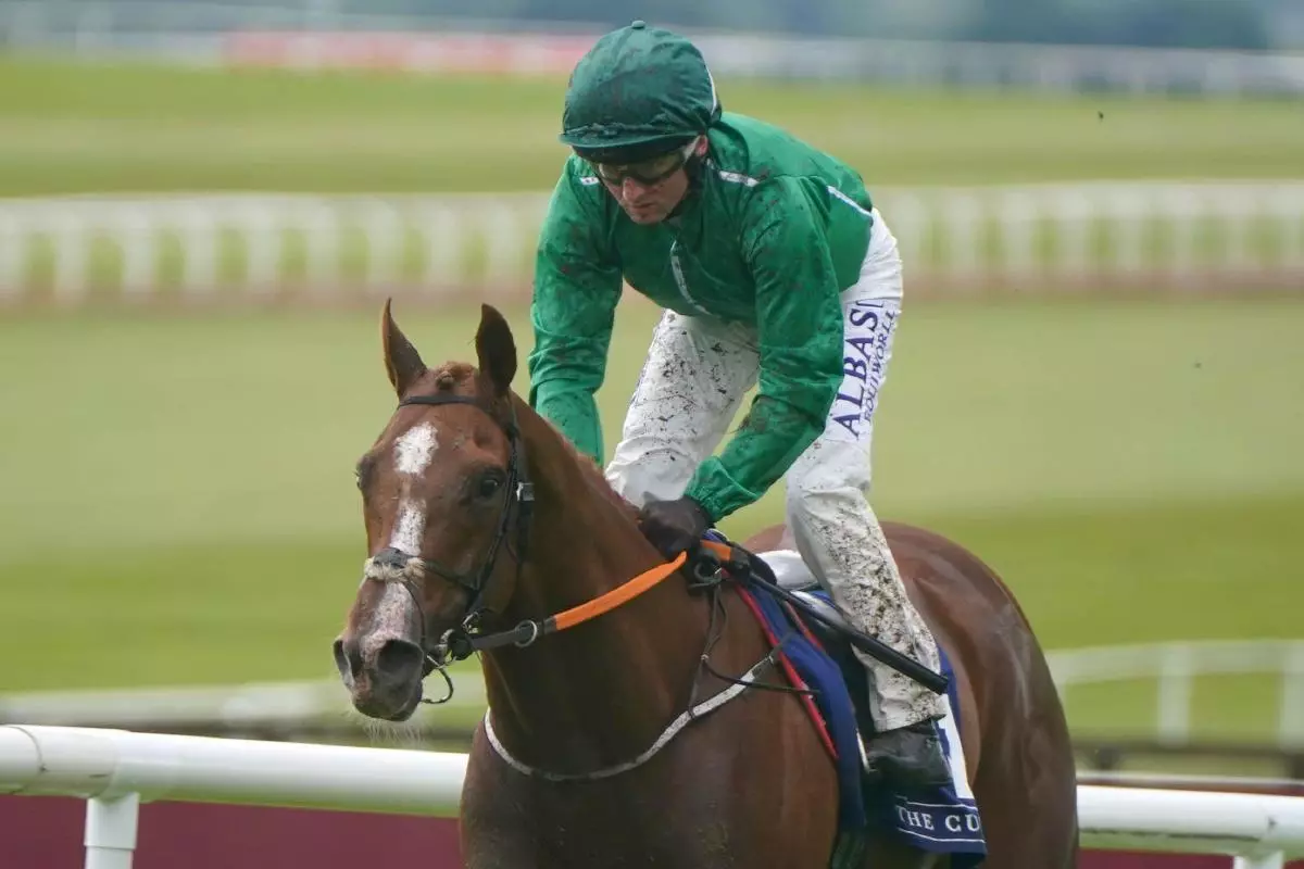 Hms Seahorse ridden by jockey Chris Hayes at Curragh
