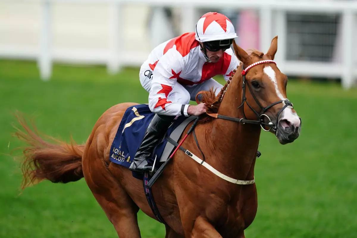 Holloway Boy ridden by jockey Daniel Tudhope wins the Chesham Stakes