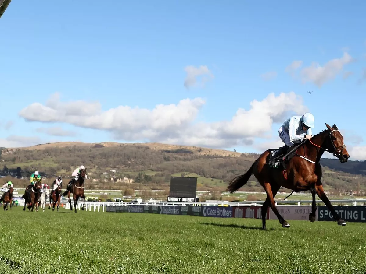 Honeysuckle and Rachael Blackmore rout the 2021 Champion Hurdle field