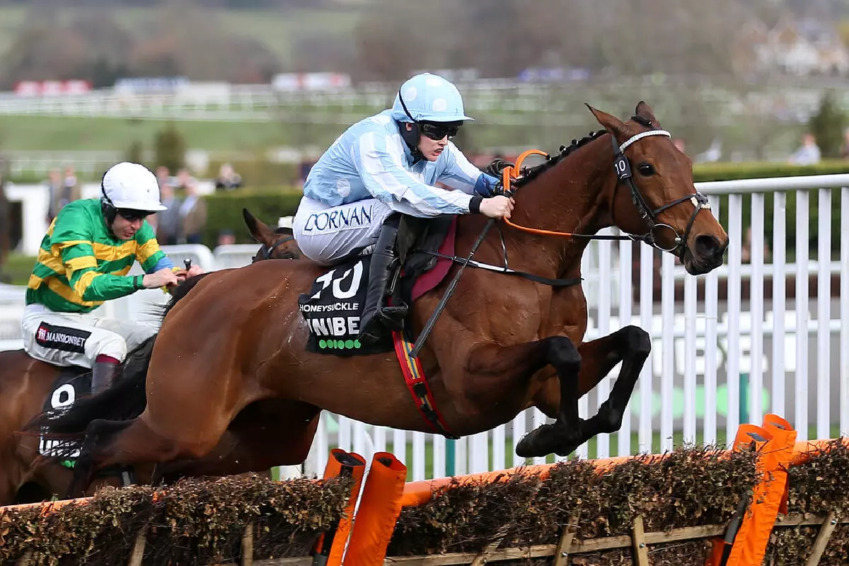 Honeysuckle and Rachael Blackmore wins Champion Hurdle at 2022 Cheltenham Festival