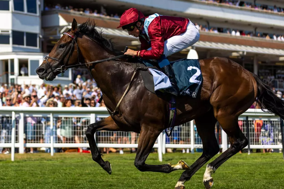Jumby ridden by jockey William Buick