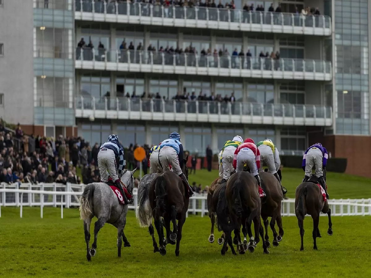 Jumpers in action at Sandown Park
