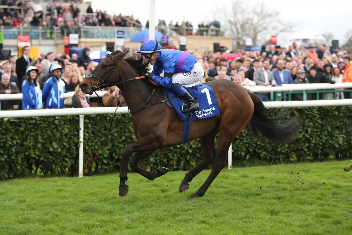 Migration ridden by jockey Benoit D L Sayette