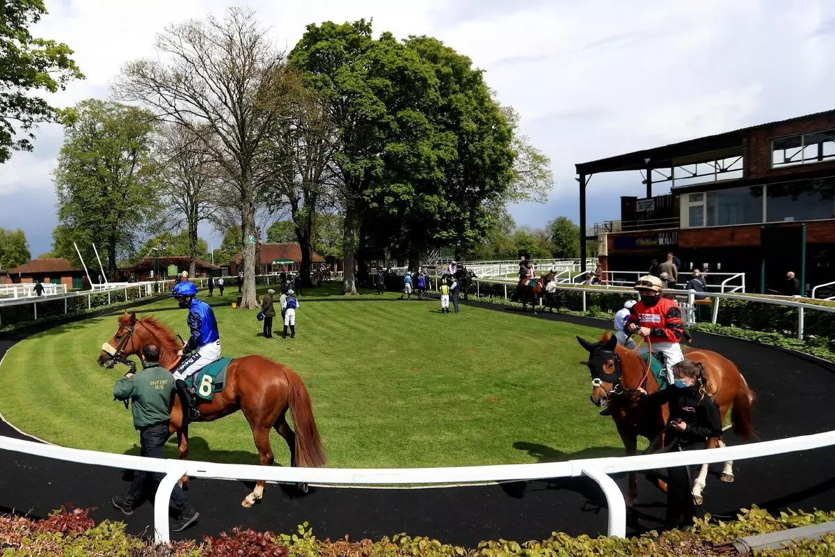 the parade ring at Ripon Racecourse