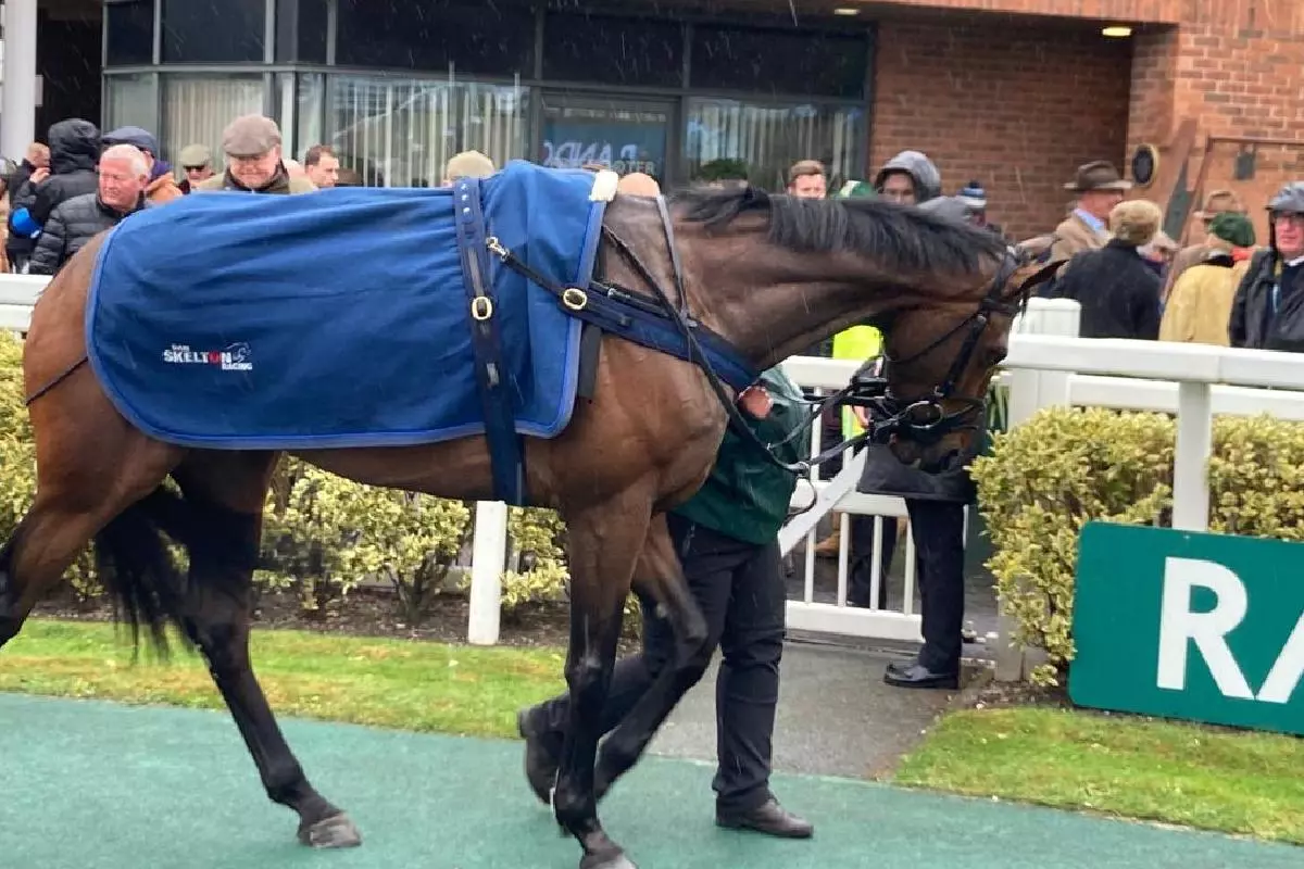 Protektorat at Aintree