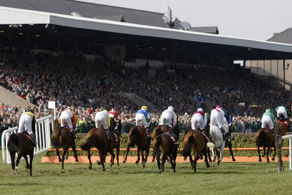 Punchestown grandstand