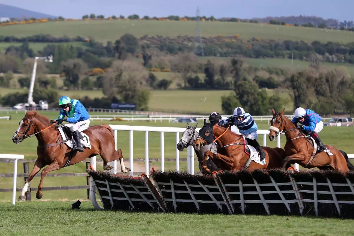 Punchestown hurdles