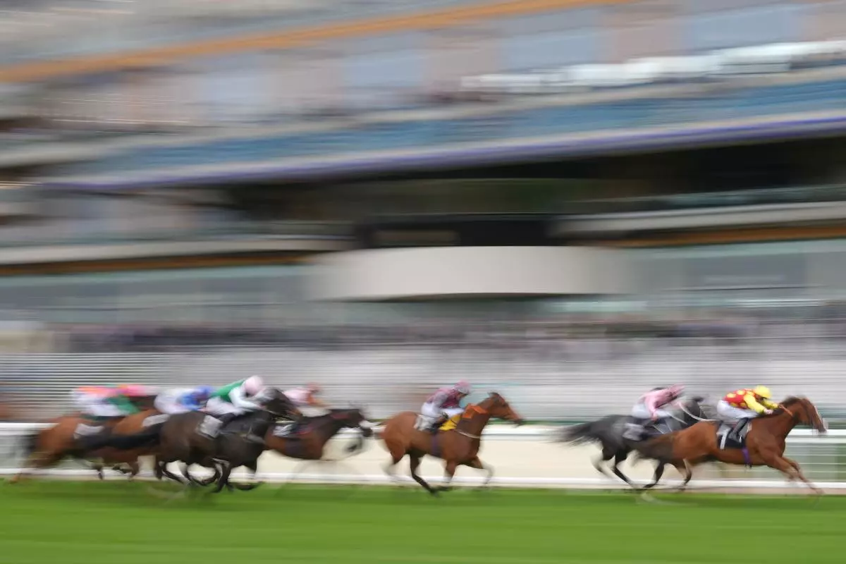 Punchestown racecourse
