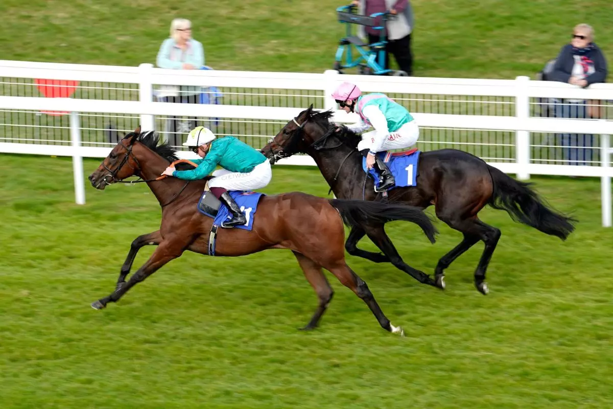 Remarquee ridden by Rob Hornby