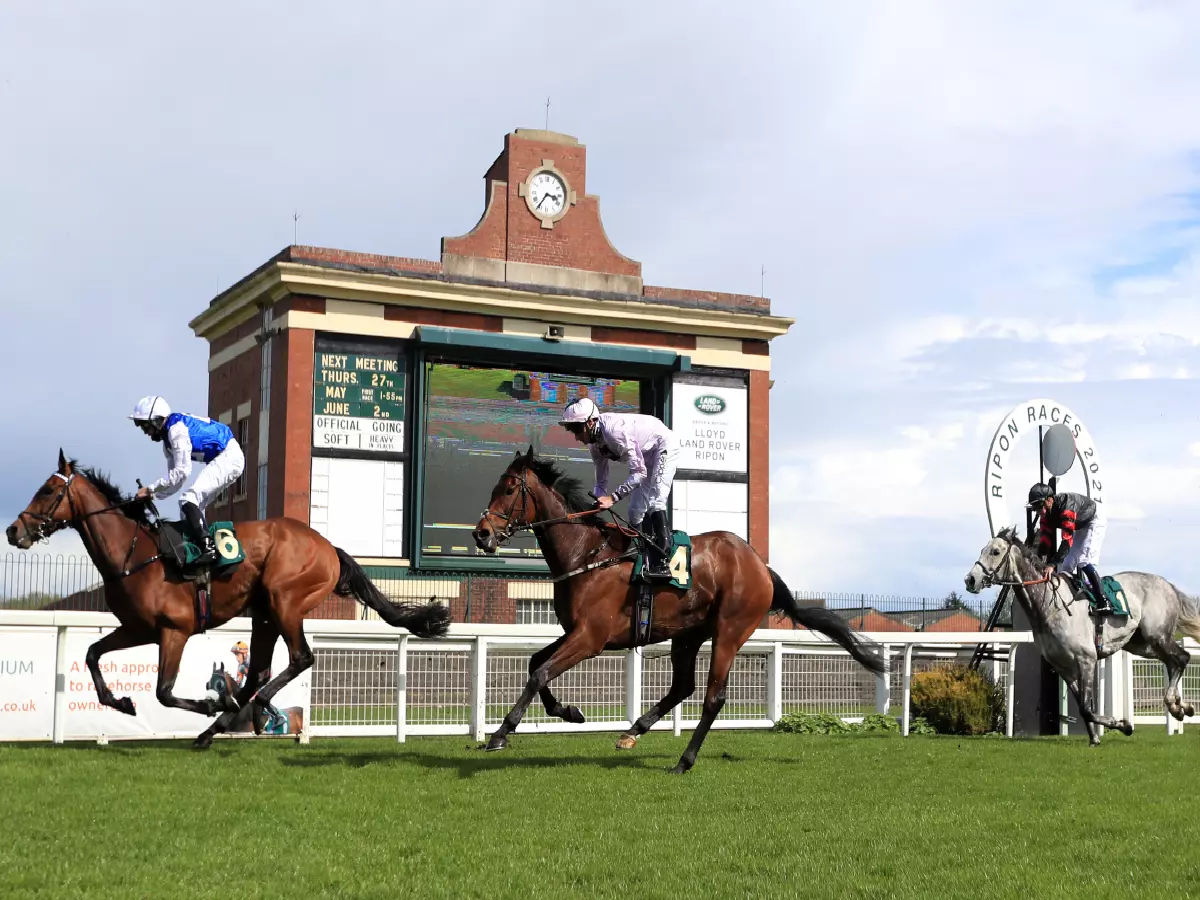 The running of the Wilmot-Smith Memorial Handicap at Ripon Racecourse