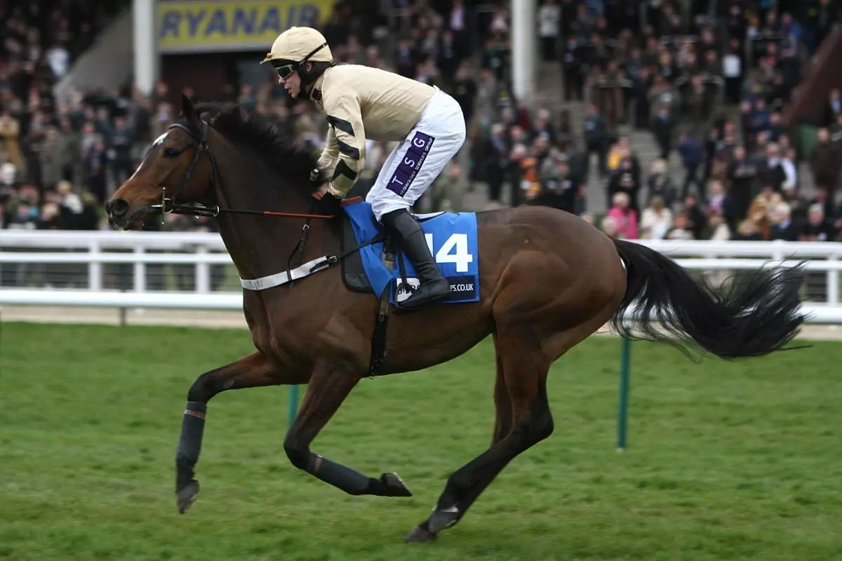 Scriptwriter at Cheltenham December 2009