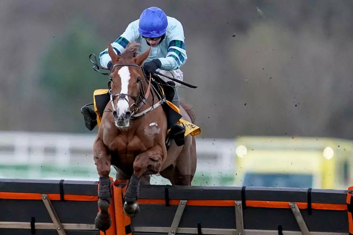 Not So Sleepy and Tom O'Brien