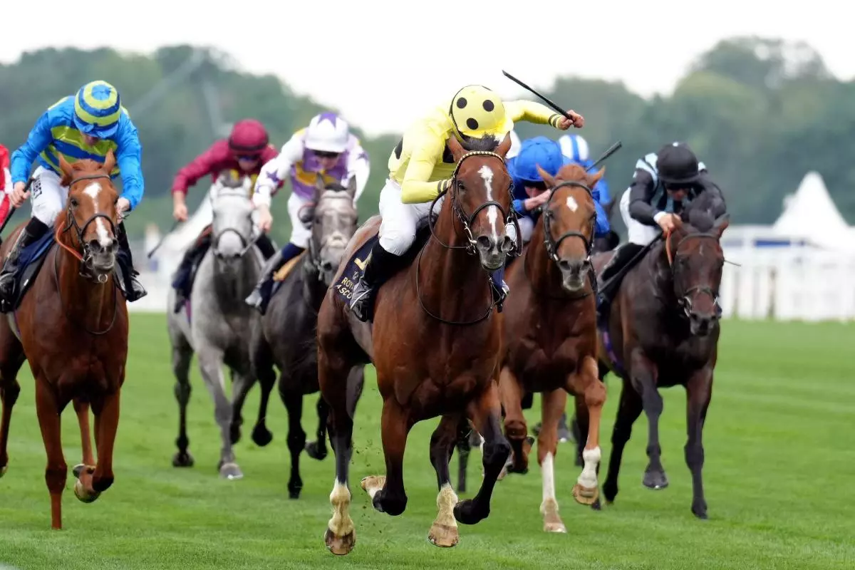 Triple Time ridden by jockey Neil Callan