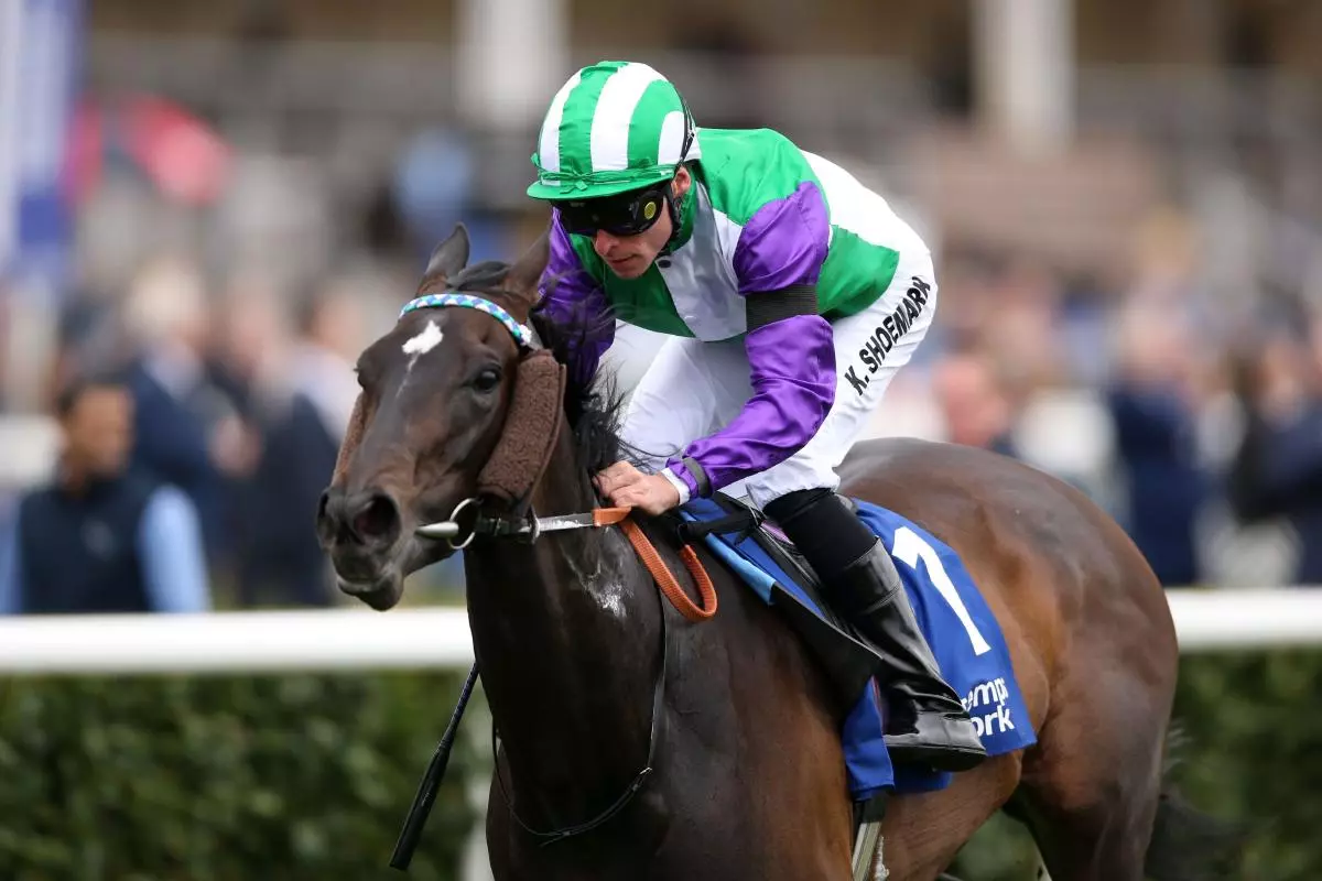 Vadream ridden by jockey Kieran Shoemark