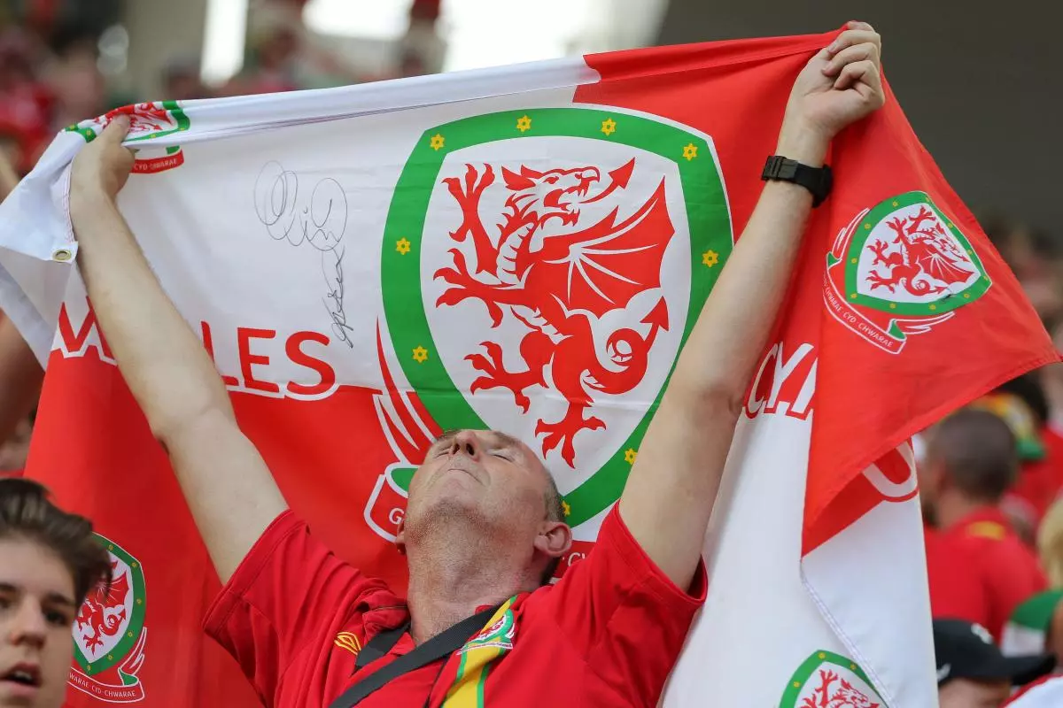 Wales fan ahead of Ukraine clash