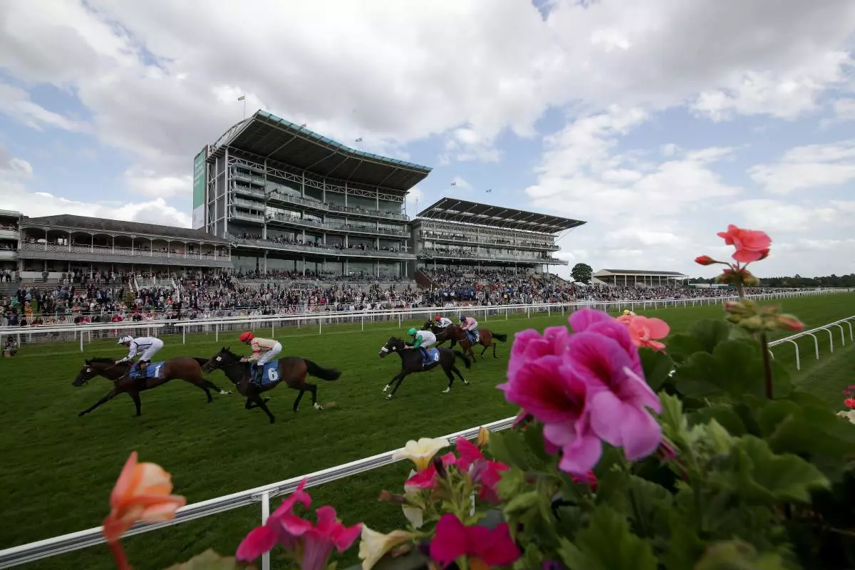 York racecourse