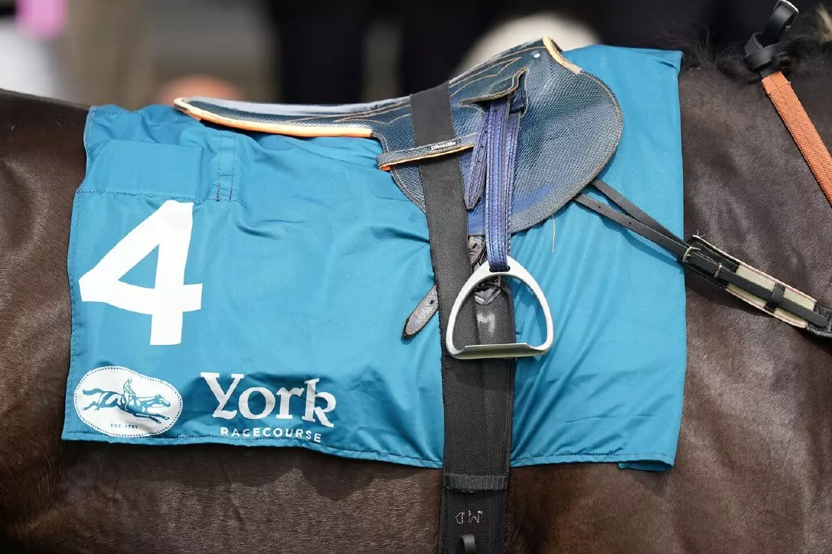 York racecourse horse saddlecloth