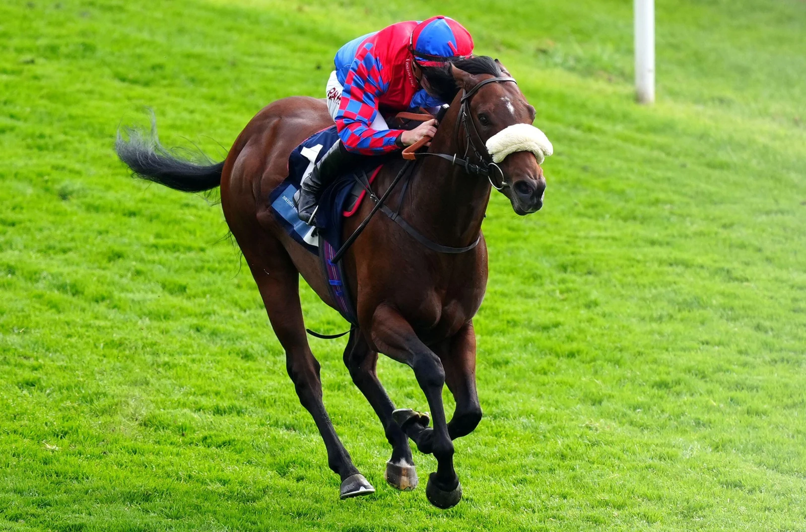 Big Evs ridden by jockey Tom Marquand