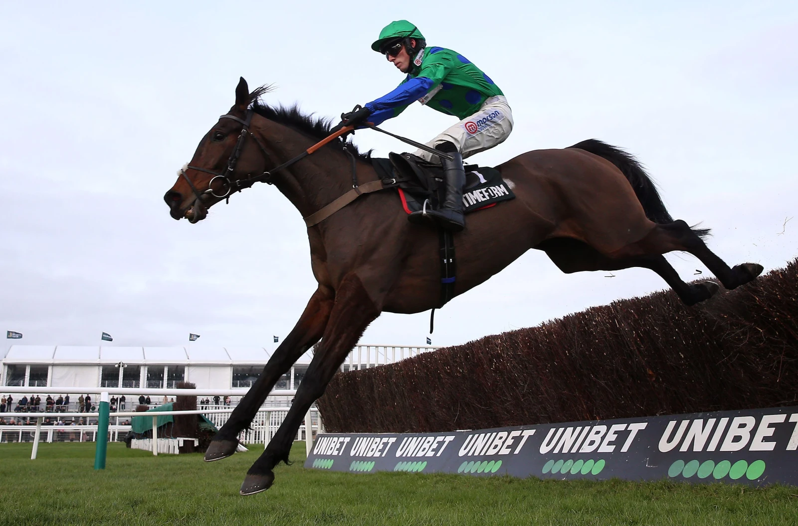 Ginny's Destiny ridden by jockey Harry Cobden