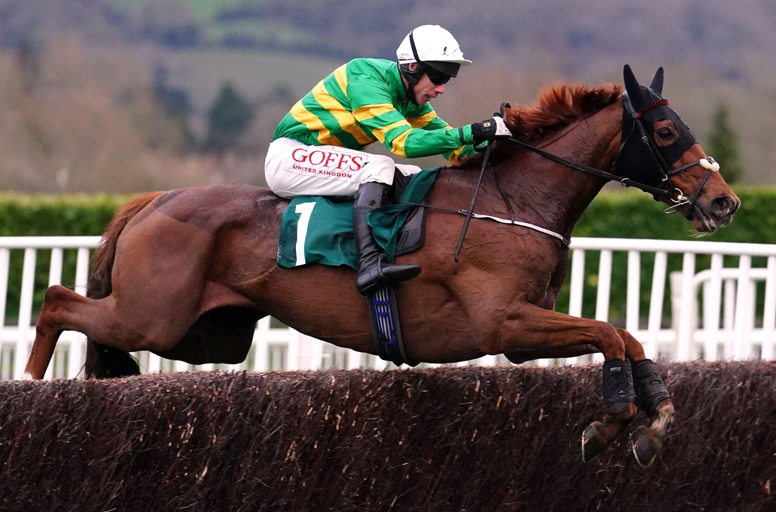 Corbetts Cross ridden by jockey Derek O'Connor at the Cheltenham Festival