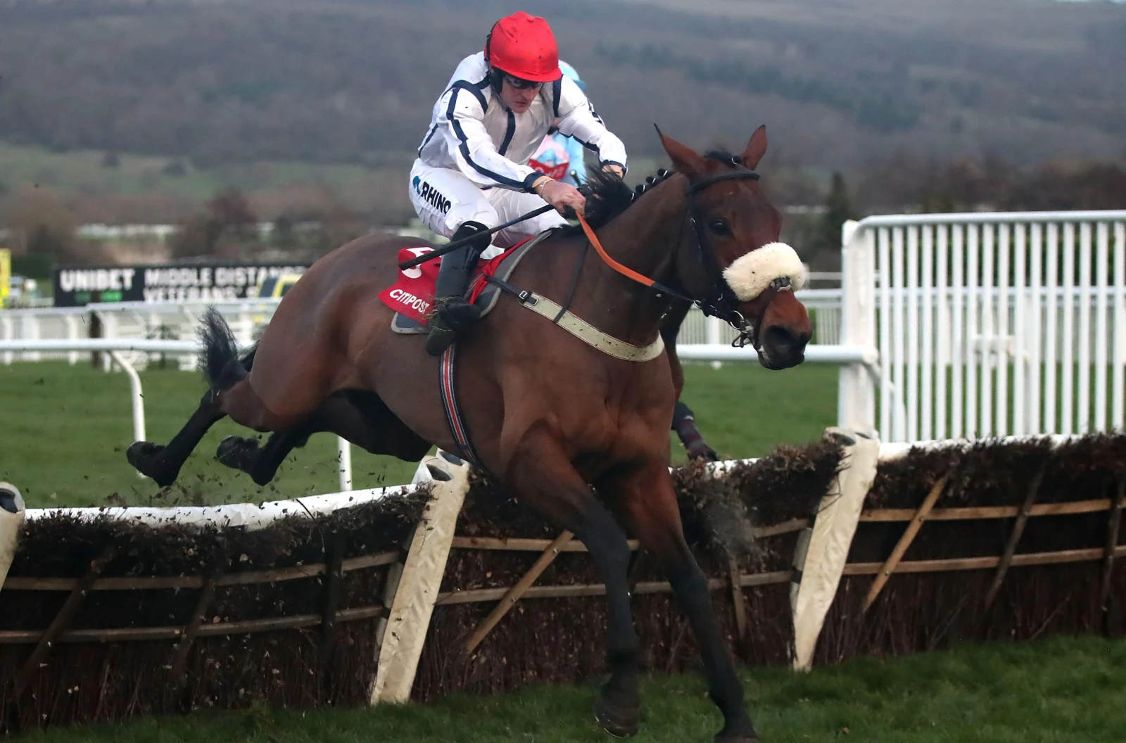 White Rhino ridden by Henry Brooke