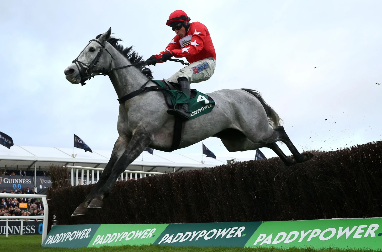 L'Eau du Sud ridden by Harry Skelton