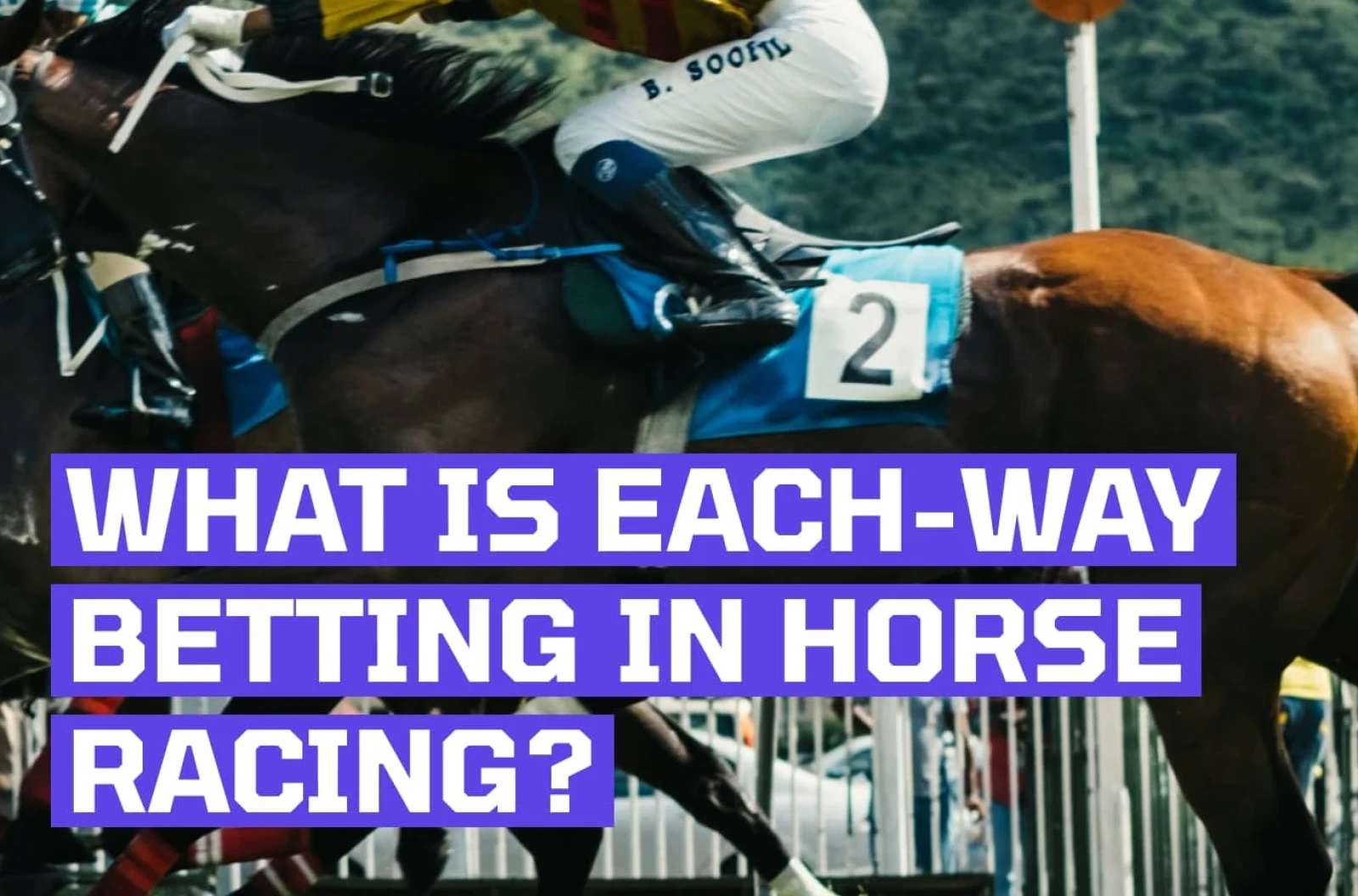 each way horse racing