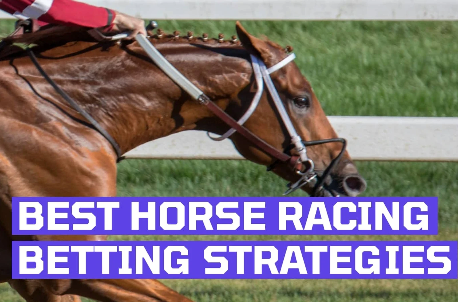 horse racing strategies