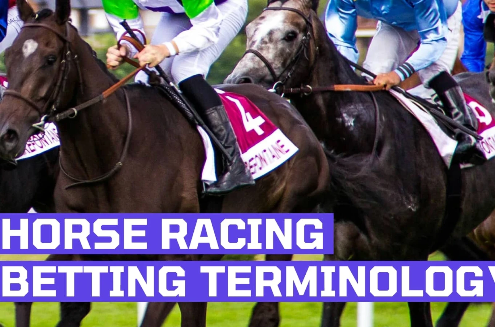 horse racing terminology