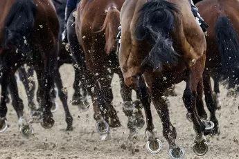 Newcastle Racecourse