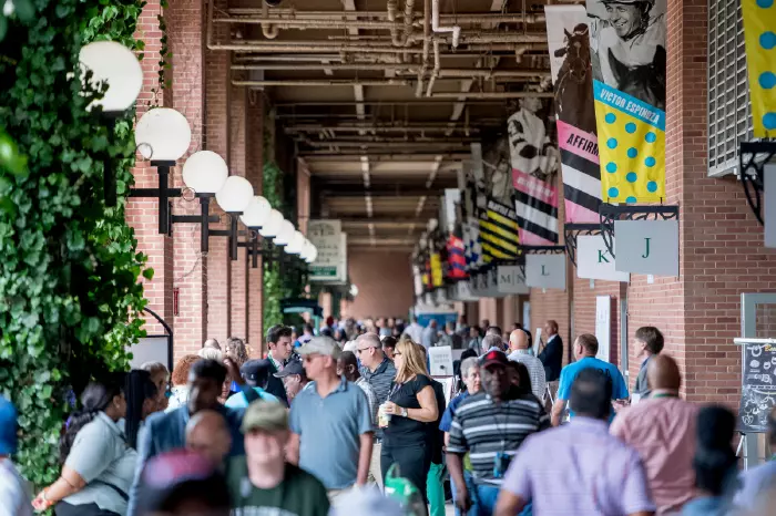 Saturday at Belmont Stakes Festival at Belmont Park in Elmont, New York on June 8, 2019