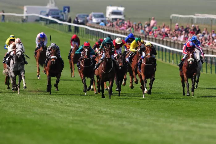 flat race at newmarket