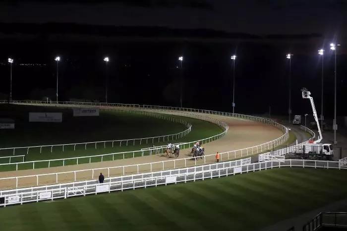 Newcastle evening racing tips: Best bets for Thursday, February 22