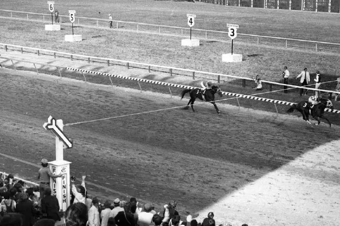 Secretariat wins the 1973 Preakness Stakes en route to the Triple Crown
