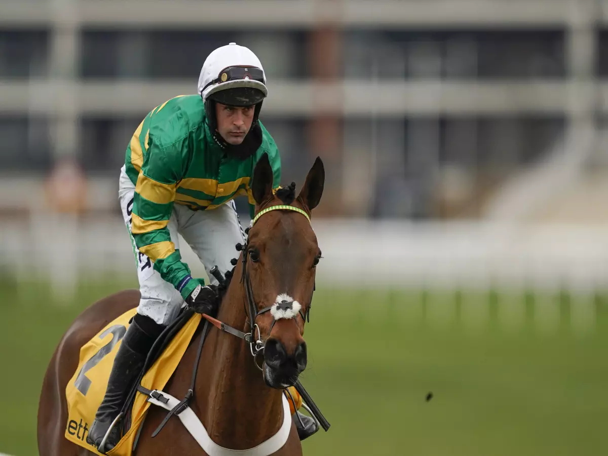 Champ could be seen in the Long Walk Hurdle at Ascot