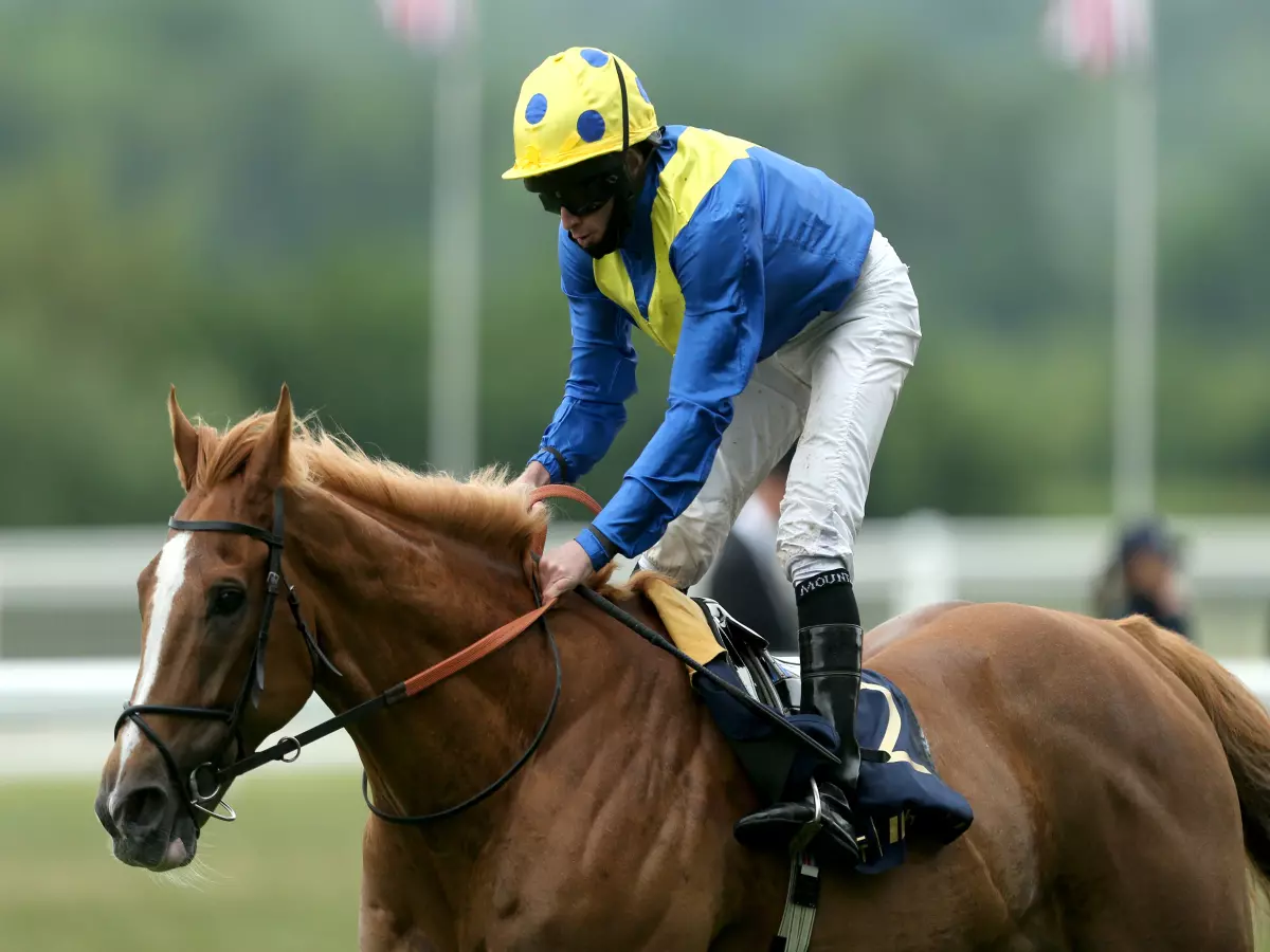 Dream Of Dreams ‘very, very well’ after deserved Ascot success
