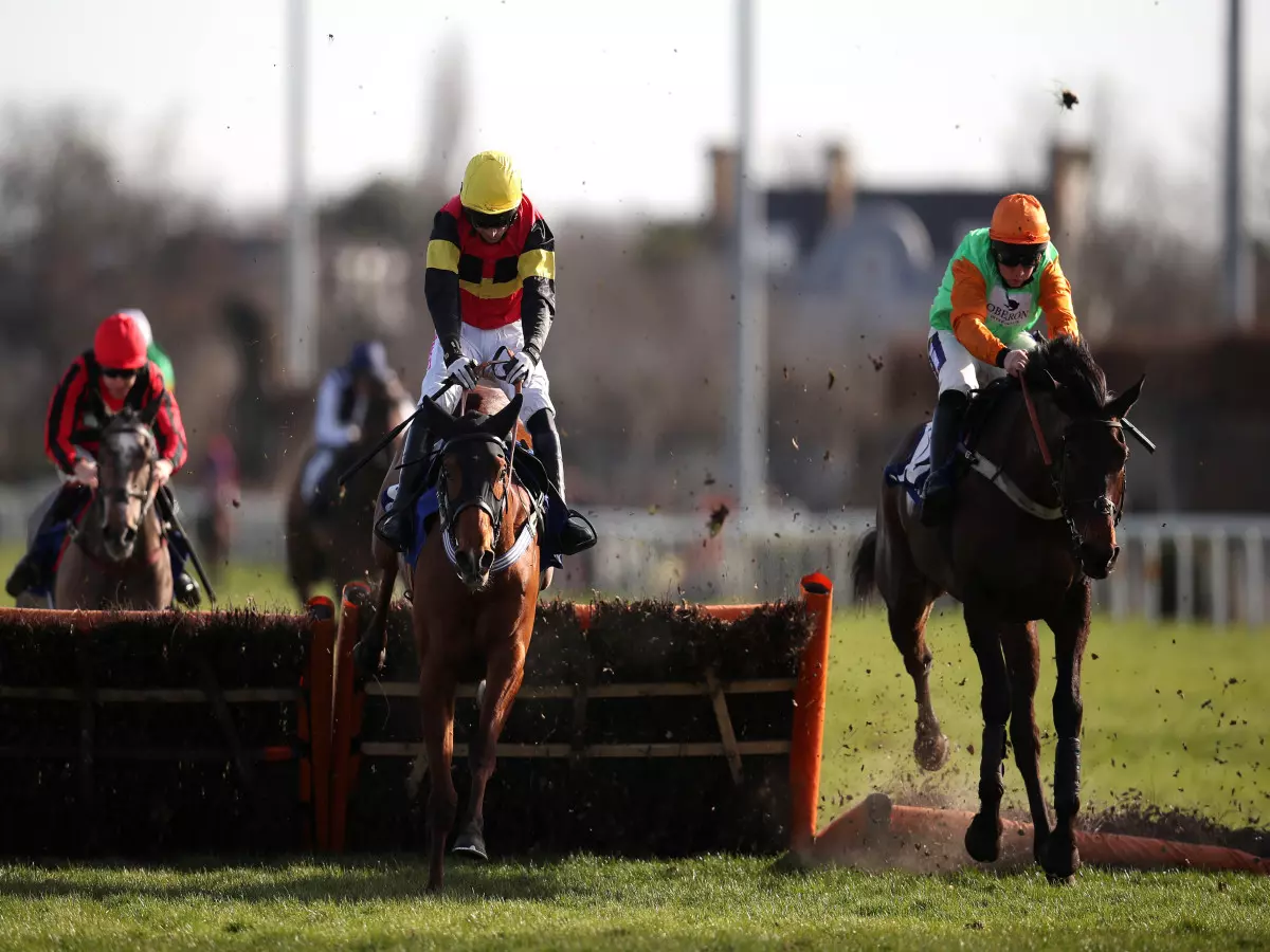 Knight Salute passes Kempton test for Cheltenham