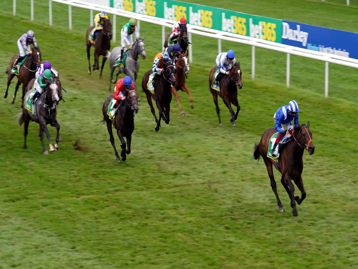 Motakhayyel bounds to Bunbury victory