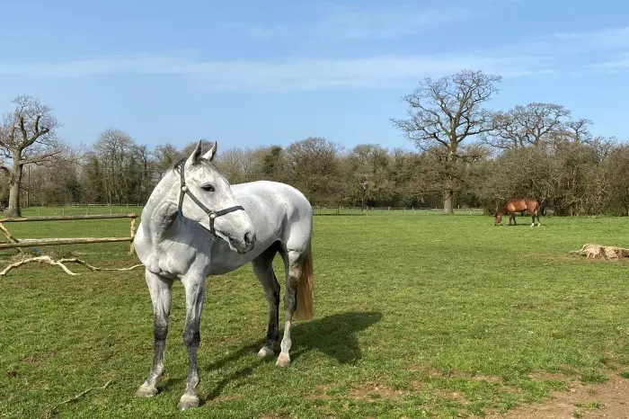 Bristol De Mai relaxing at home