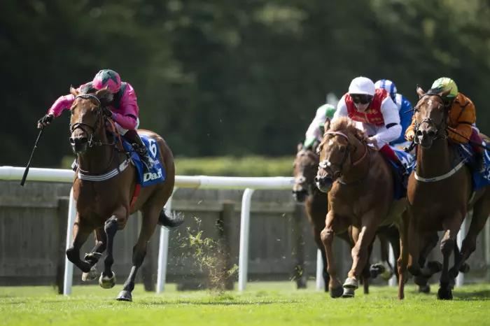 Newmarket top racing tip: Native Approach to hit the ground running for in-form Appleby yard