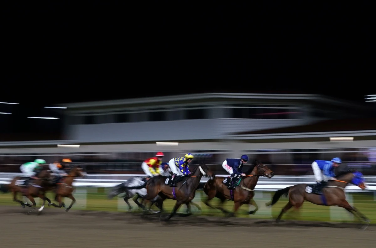 Chelmsford – Thursday’s best free horse racing tips